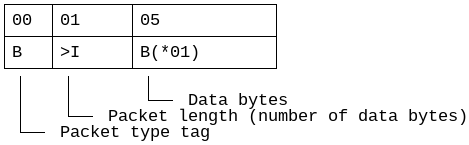 Structure of a SnapGene packet
